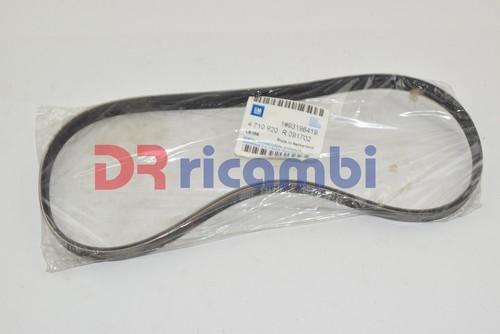 Cinghia alternatore - cinghia,