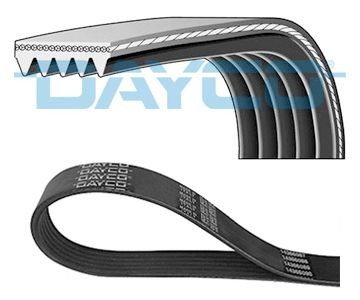Cinghia poly dayco 5pk890 - cinghia, poly-v